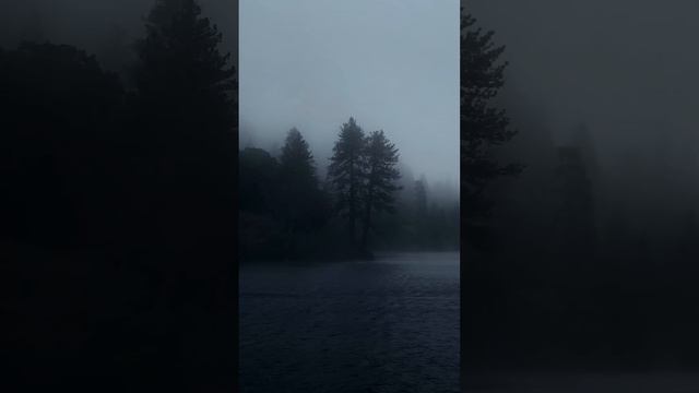 Душевное спокойствие