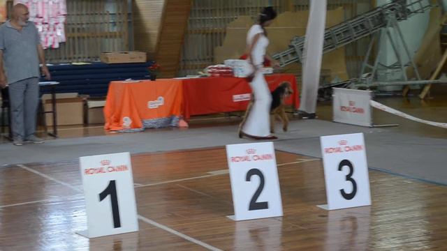 Хомасуридзе Р Р  Легран Кавалиер Фор Астор Ширан ЛЮ ЛПП