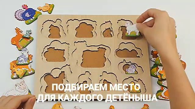 15a484a97ec92b46ee91d04ea2caa2d2