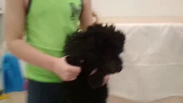 Друг по имени Чарли