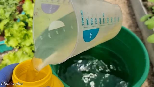 456d30230303d41a1944cc58057feefe