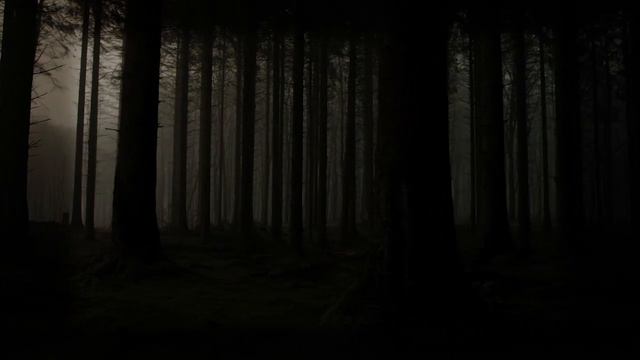 A Victorian Ghost Lures You Into The Deep Dark Forest| Horror Ambiance