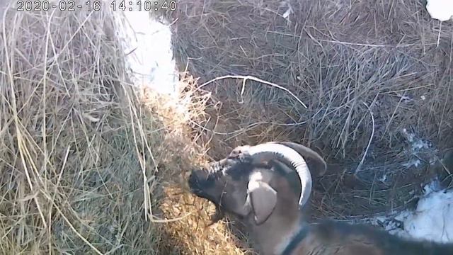 ОНКОЛОГИЯ    надейся на лучшее , готовся к худшему