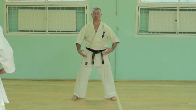 Тибао Чжуан. Шесть направлений усилий.avi