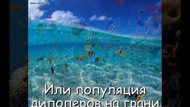 Рецепты для гурманов и ценителей вкуса