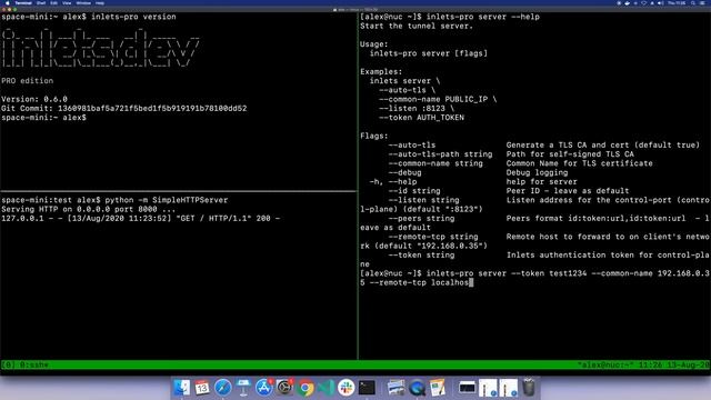 Secure Inlets PRO Tunnels In 5 Minutes