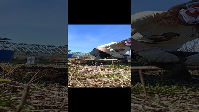 1000003778.mp4
