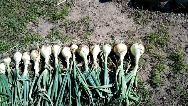 6d6bfeaedda732ca0186e88cc9a742b2