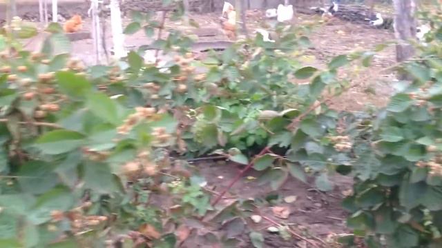 6cdad2b731a2d7b5d3b64da5f5f4da90