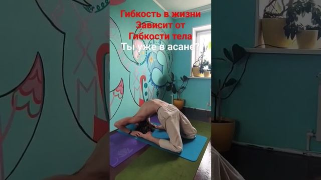 614d8f49603375ddbba1f526b167b699