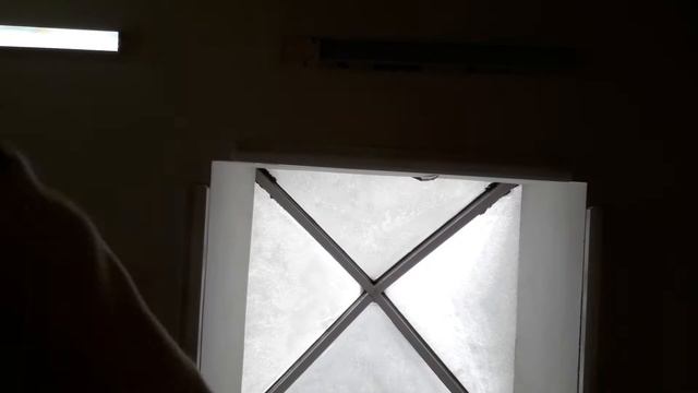 магазин сюрпризов часть 1 (  придумайте имя собачке )