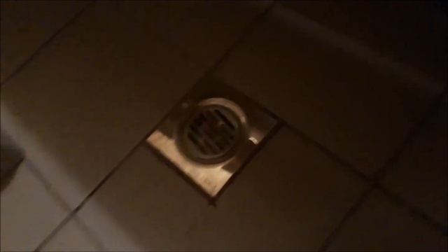 Итоговая экскурсия по бане