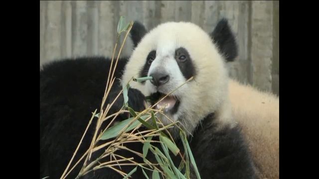 54321677b9b004c34403e8c2838530f7