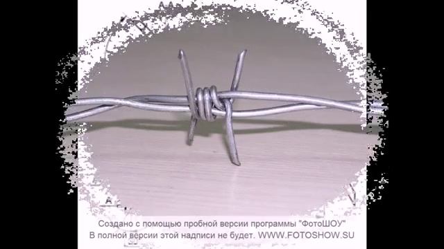 Пролока оцинкованная колючая одноосновная и двухосновная