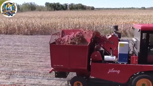 Cut Coconut In 5 Seconds! Special Technology To Mass Produce Coconut Water And Oil! Thai Factory ▶3