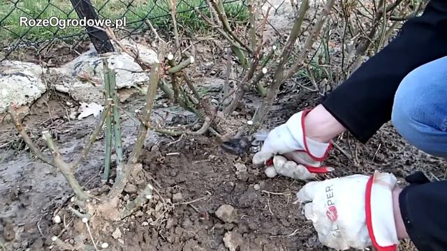 B8cf0912d6da4f0c16808c674fbc0712