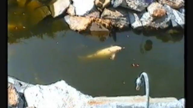 Роспись беседки