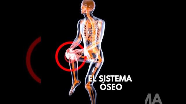 💪💪 BATIDO DE COLÁGENO FORZA
