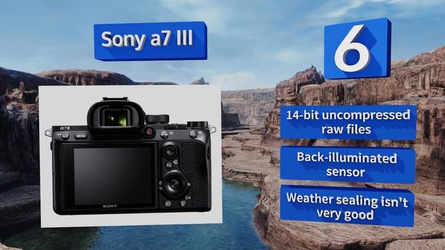 10 Best Full-Frame DSLR Cameras 2018