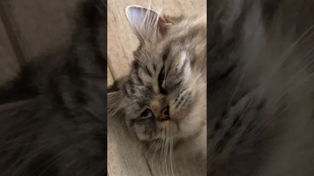 Образец расслабления