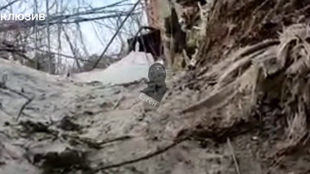 D9630535d8167fa28fc64d350eaf49b0