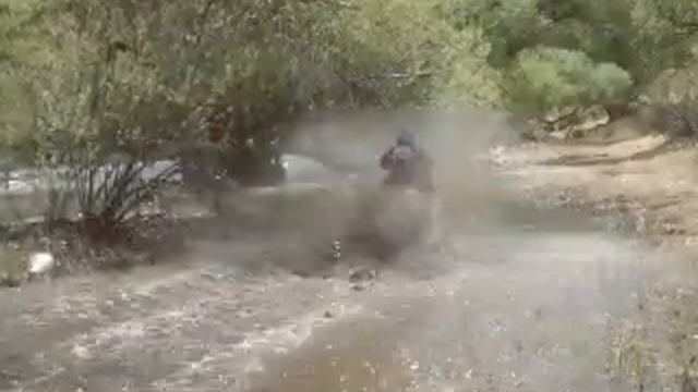 Motorcycle Honda KTM Yamaha Suzuki Kawasaki 250 450 650 Bikes