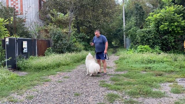 6746085e45e36c51d6abfebfa2e5a952