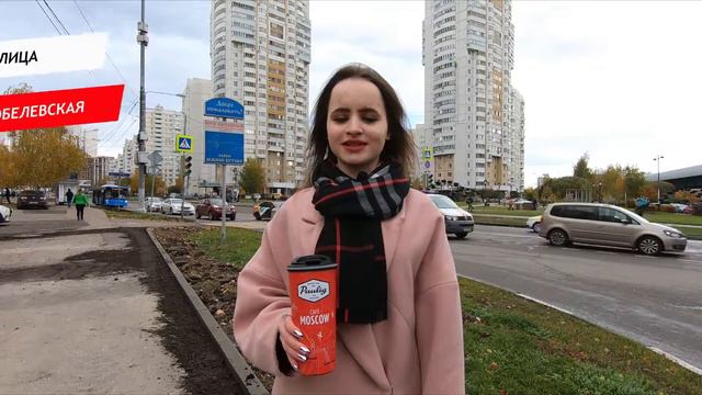 Скобелевская улица