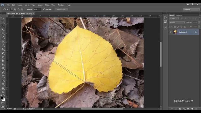 Tip No 4 : Switch Between Lasso And Polygonal Tool