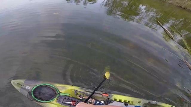 The Crappie Love GULP MINNOWS!