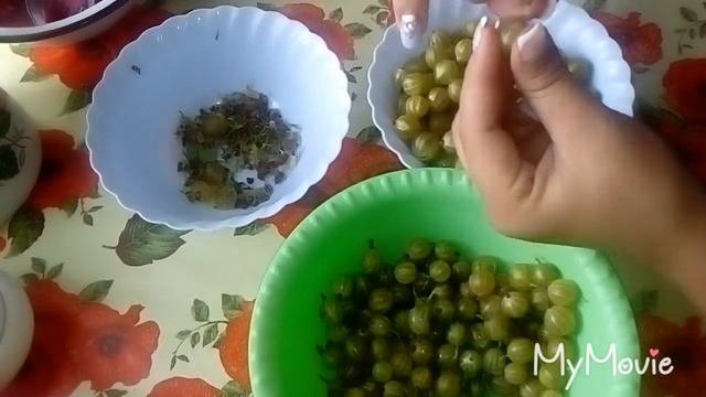 Сбор крыжовника?