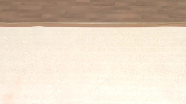 POSA PARQUET LAMINATO.mpg