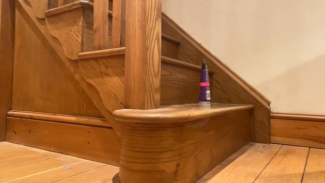 John Frieda Campaign Advert 2019