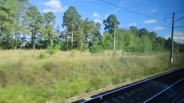 Поезд стриж Москва - Нижний Новгород