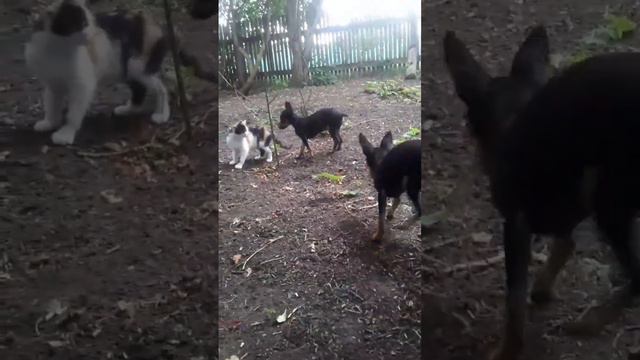 Bbeaa9a03282dc165e68588e0d6cd8b1