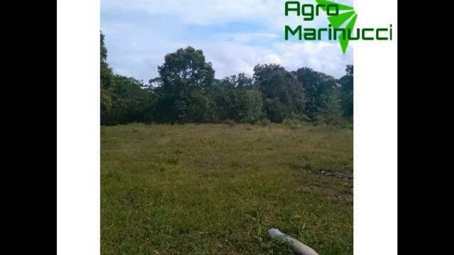 Casa En Barinas, Av. Intercomunal Barinas - Barinitas.