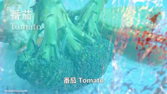 營養師說：這12 種食物竟能殺死多種癌細胞，每天換著吃，癌症一輩子不会找你哦！快快收藏起来，分享给你心爱的人💘💘💘