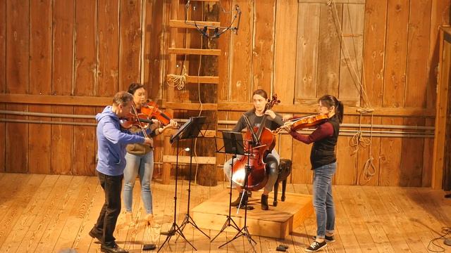 Franz Joseph Haydn: String Quartet In G Major, Op. 76: Carpe Diem String Quartet