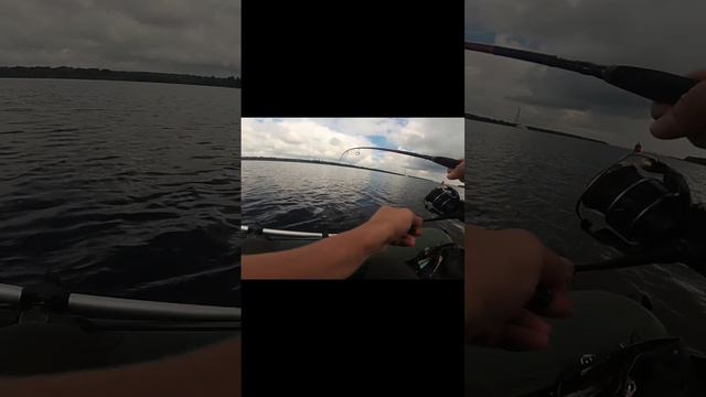 Щука на джиг)#shorts