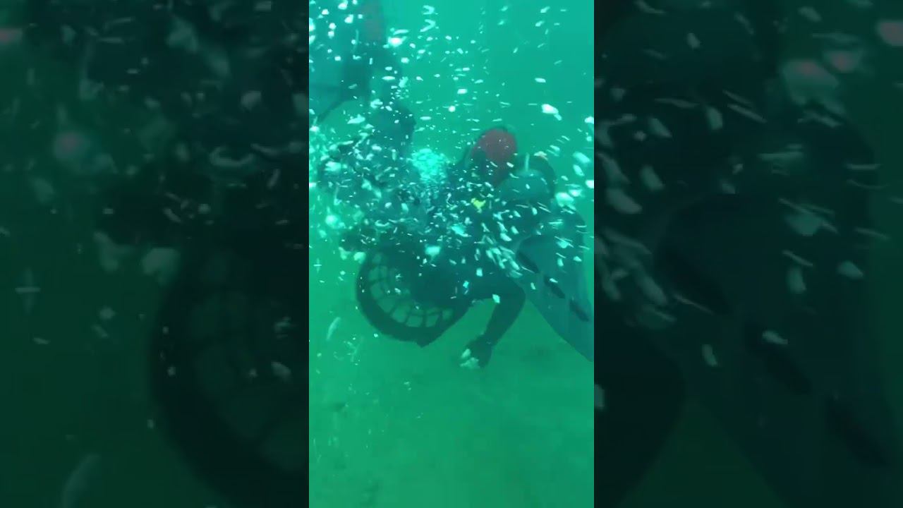 В двух мирах