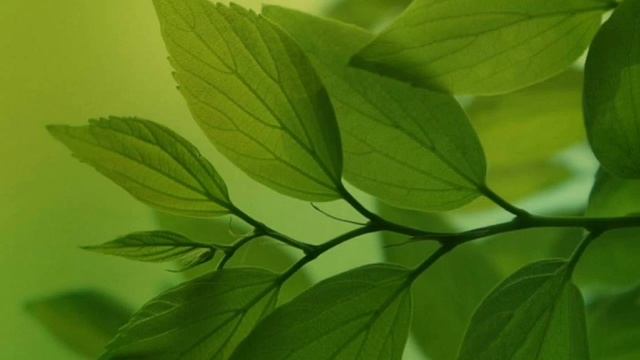 ОТВЕТЫ НА ВОПРОСЫ ОКР,ТРЕВОГА.