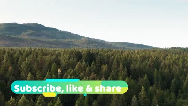 Relaxing Music For Slepping, Studying, And Meditation.