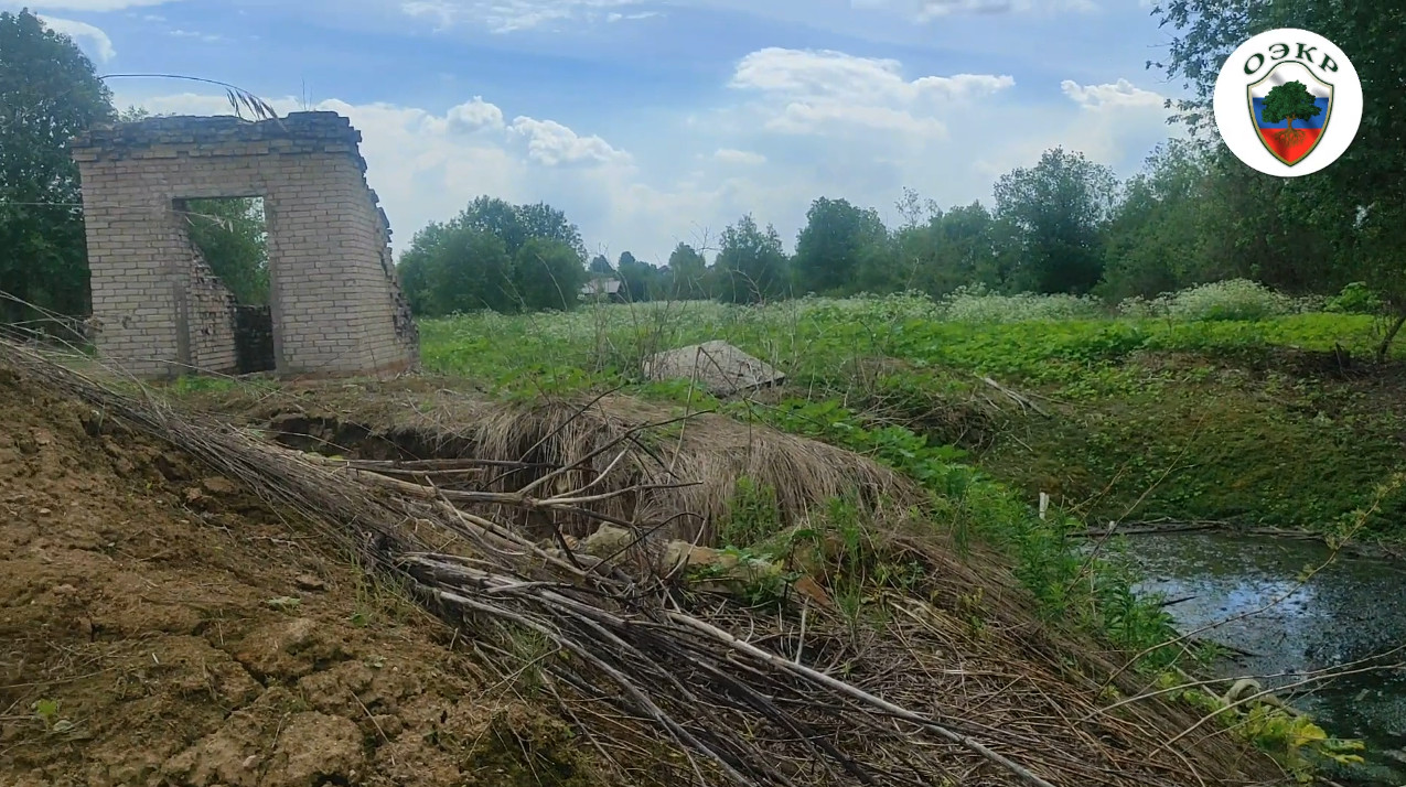 МУТНЫЕ ВОДЫ. РОМАНОВО