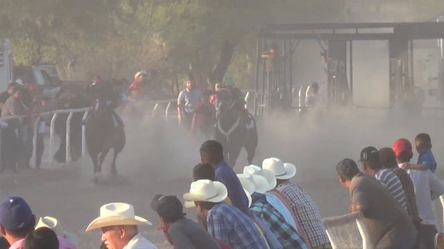 17 La Camelia Vs El Viejon 275 Varas