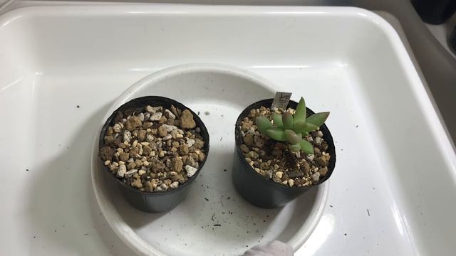 0848daa6b94ab20cf3c2f7b04c5dfe3c