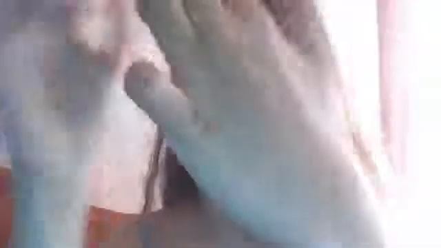 Видео C веб-камеры от  5 июня 2015 г., 12:25 (UTC)