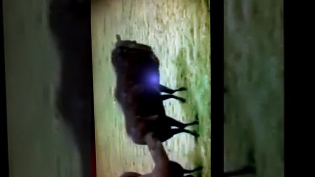 Вопрос-ответный костюм