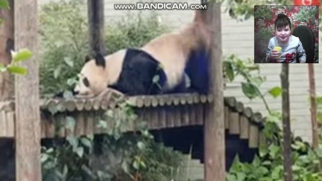 Попробуй не засмеяться с водой во рту. Челлендж