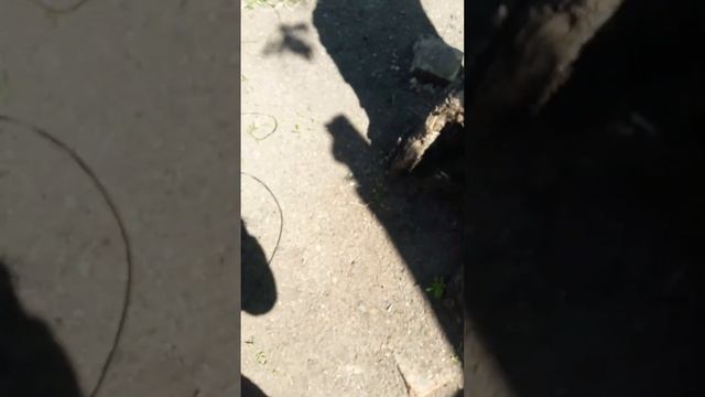 Световая инженерия