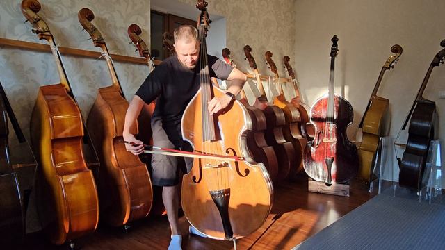 Контрабас №130